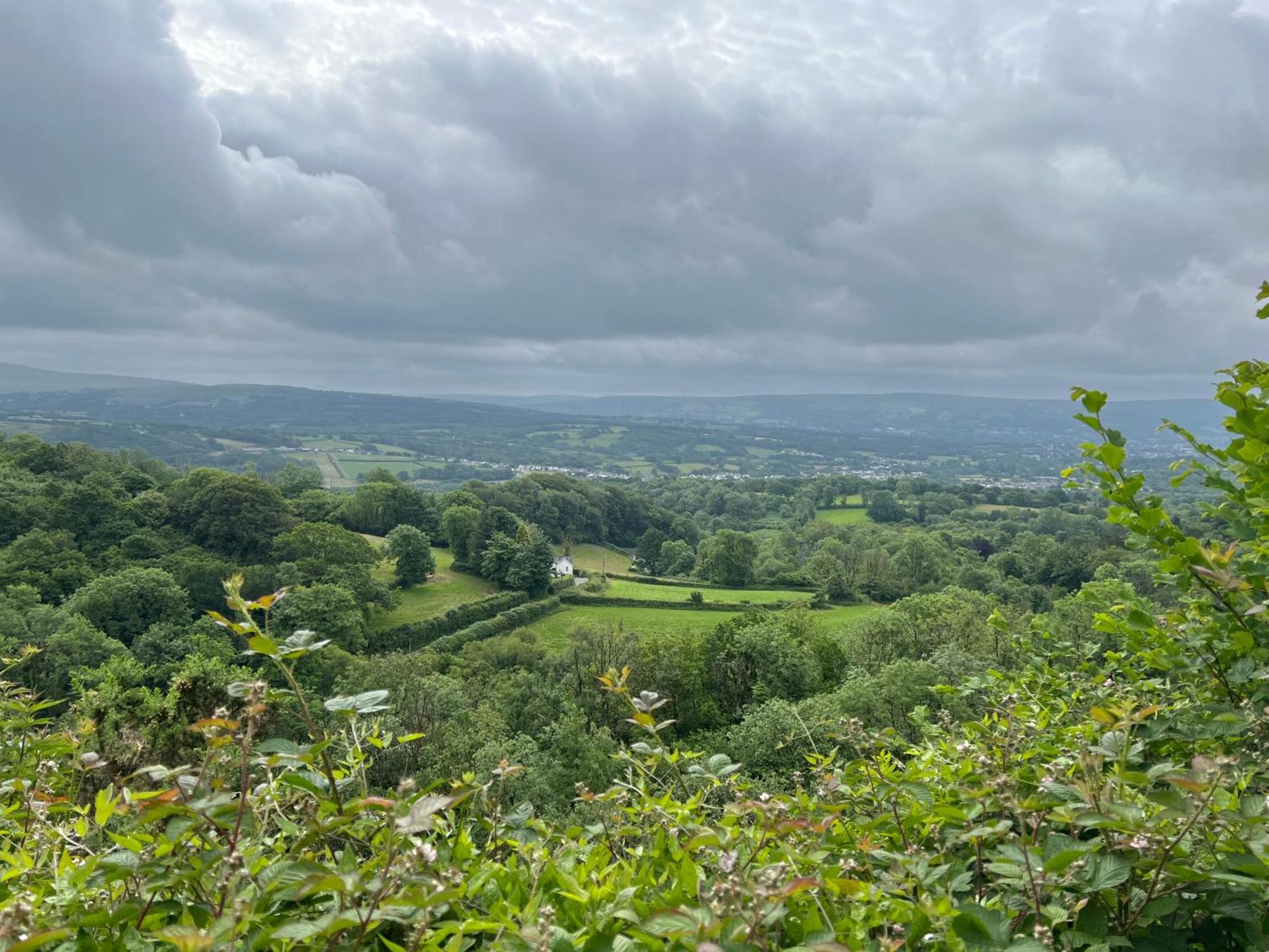 Kabin In The Woods Villa Llandybie Buitenkant foto