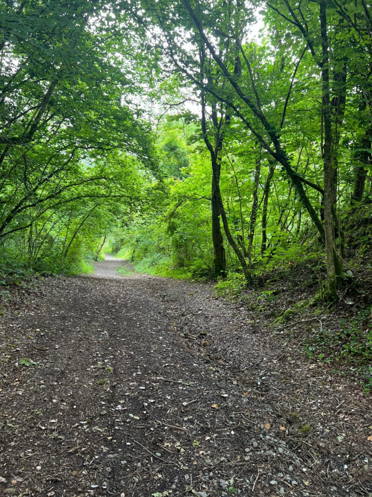 Kabin In The Woods Villa Llandybie Buitenkant foto